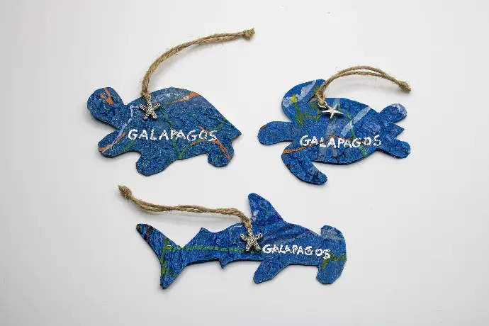 Galapagos Key rings