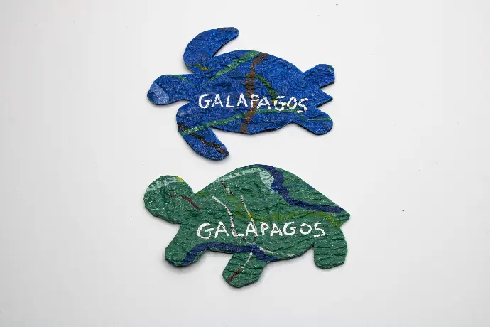 Galapagos Magnets