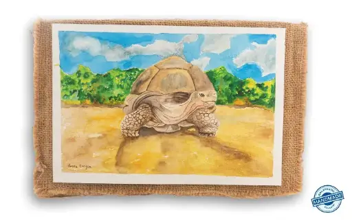 Giant Tortoise