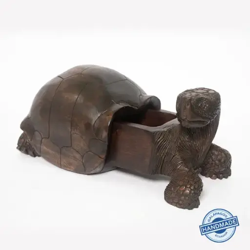 Giant Tortoise Jewelry Box