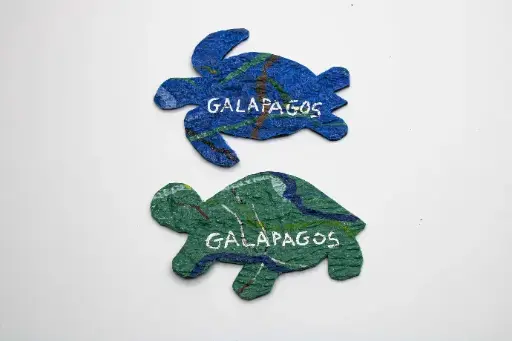 Galapagos Magnets